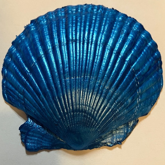 Superbowl Doggies Football Blue Decoupage Handcrafted Shell Dish - Picture 5 of 5